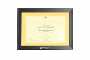 Certificate of The Shimmian Rhinoplasty Course